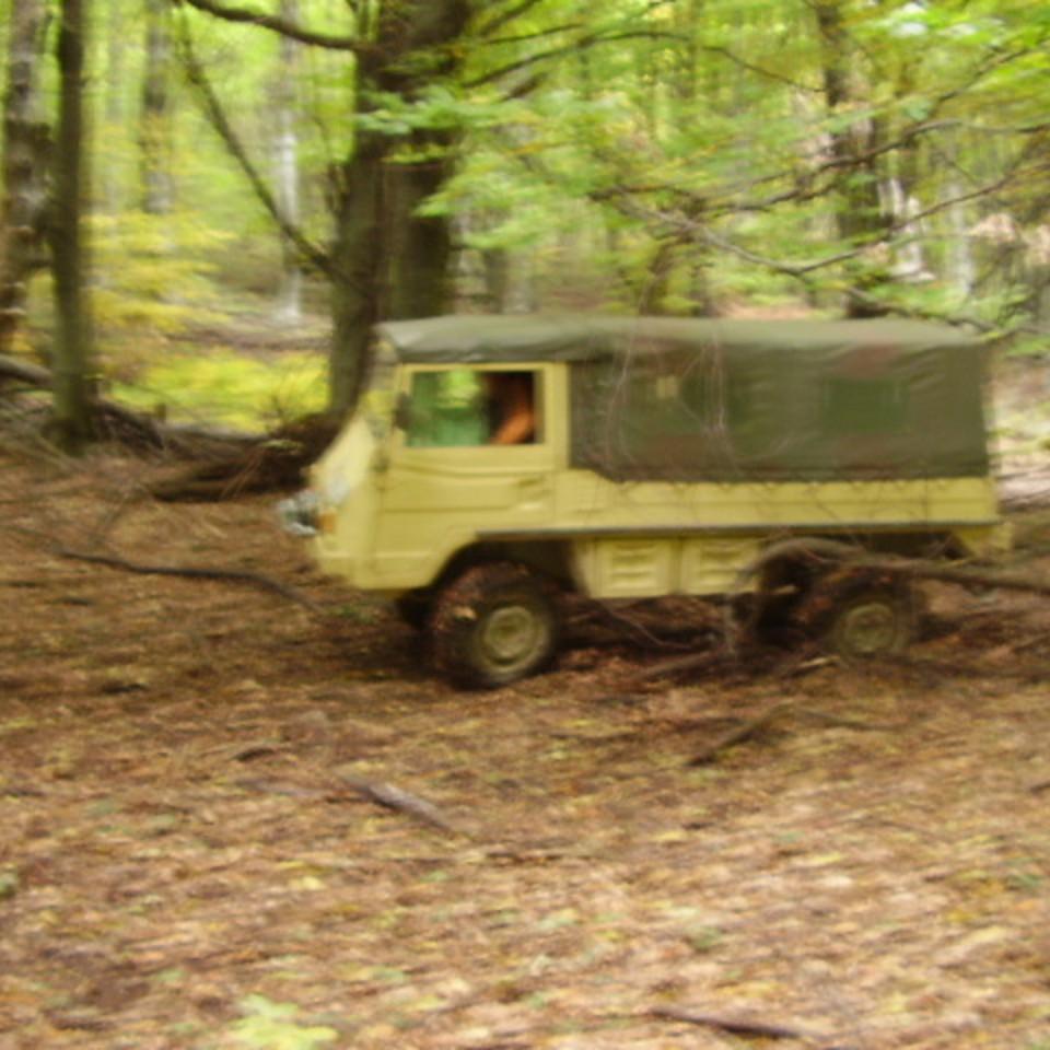 155.jpg