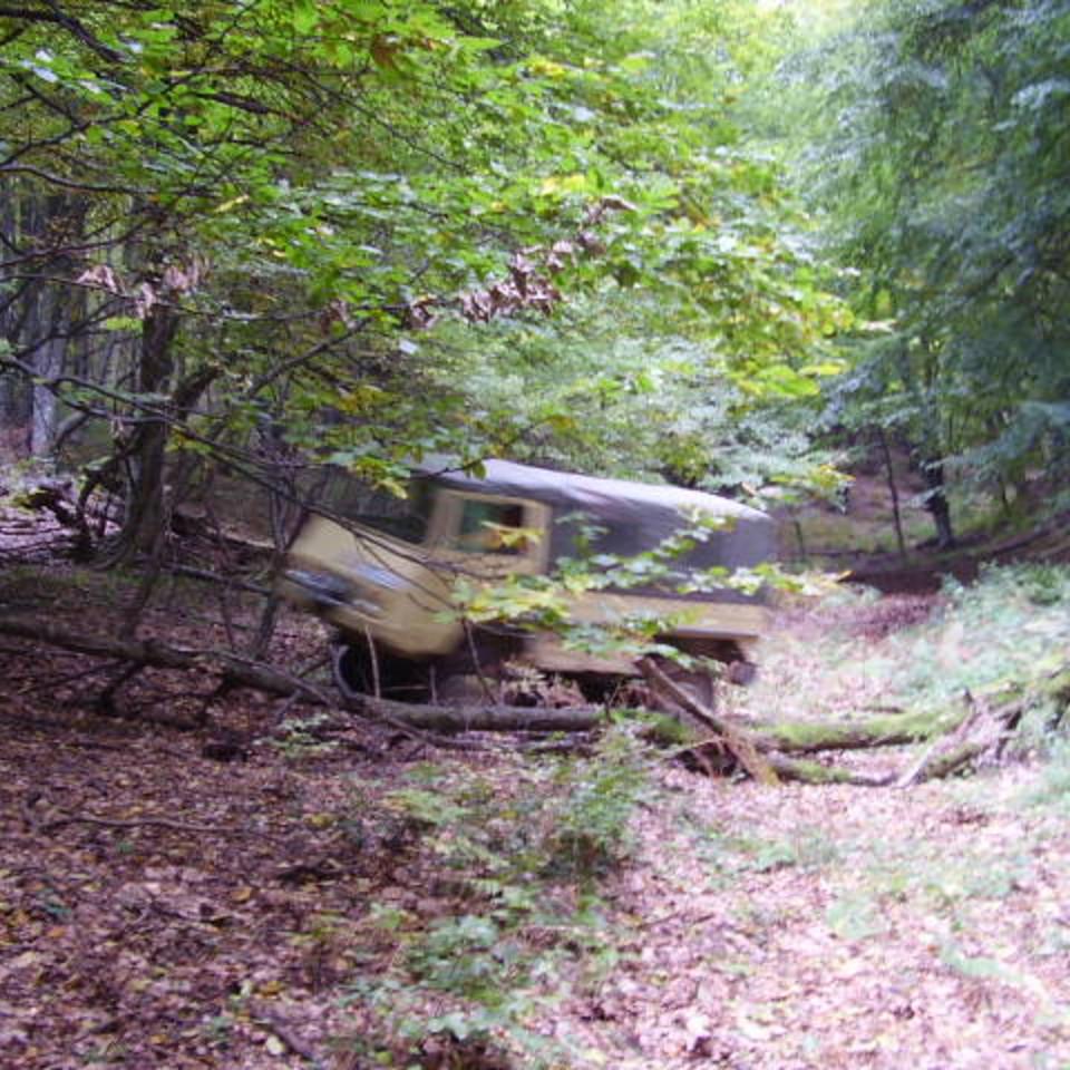 156.jpg