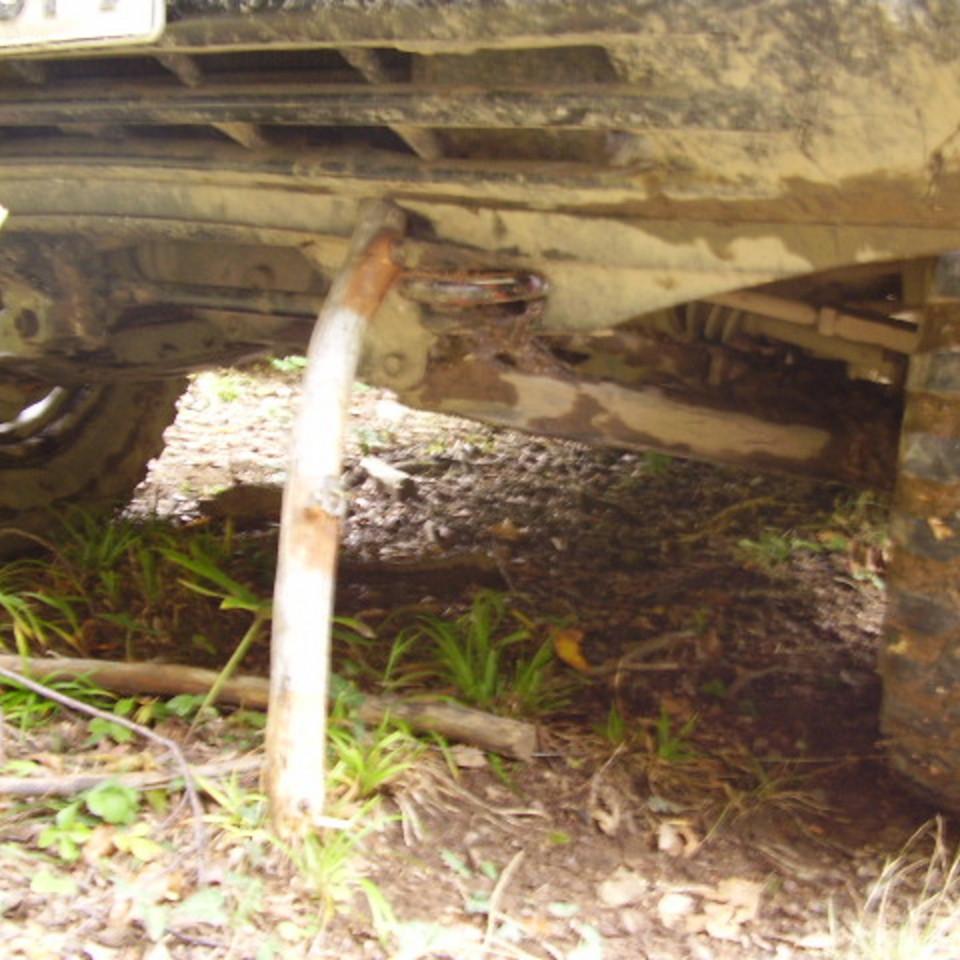 174.jpg