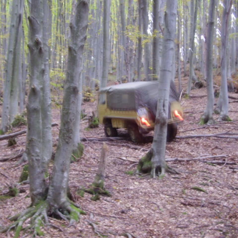 183.jpg