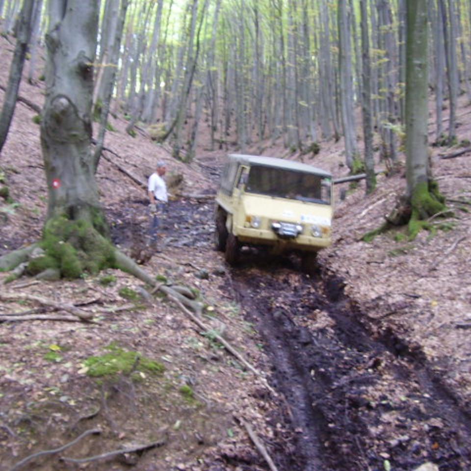 184.jpg
