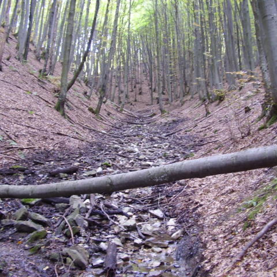 185.jpg