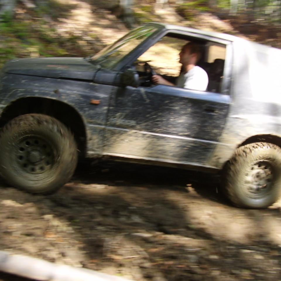 241.jpg