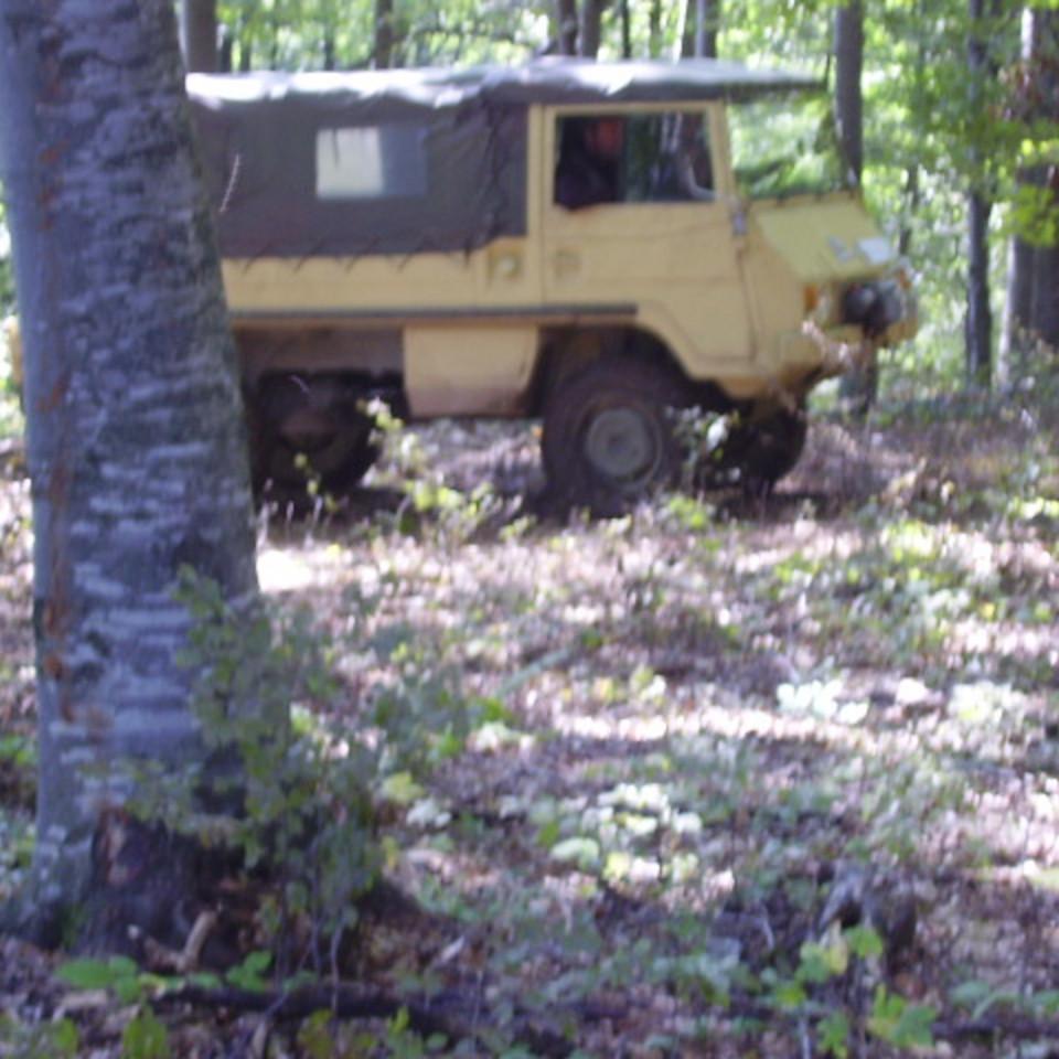 246.jpg