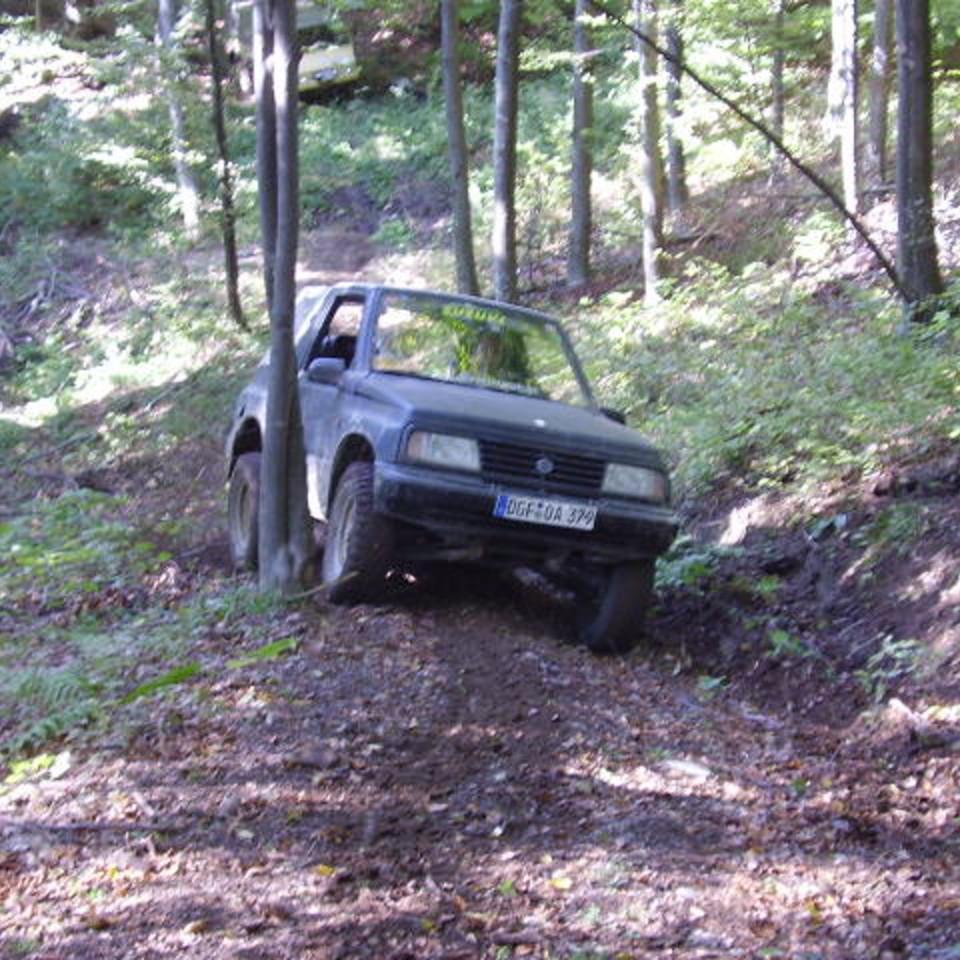 254.jpg