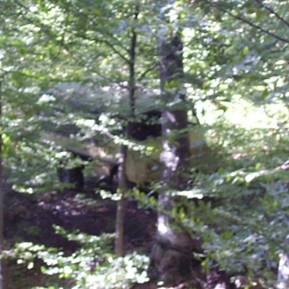 259.jpg