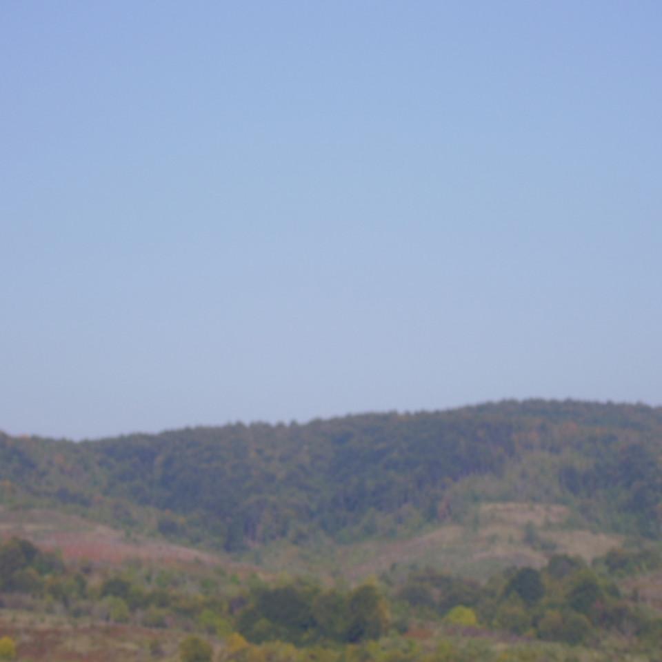 277.jpg