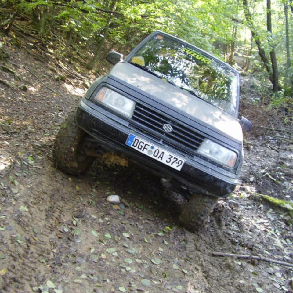 290.jpg