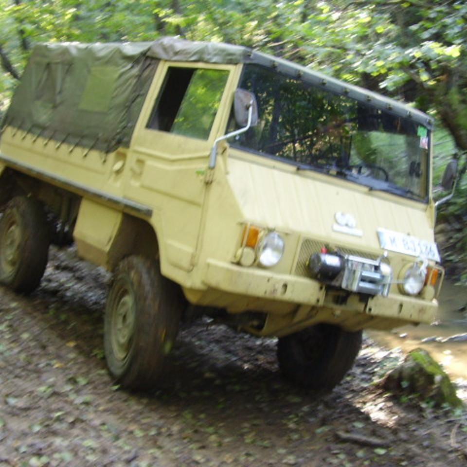 291.jpg