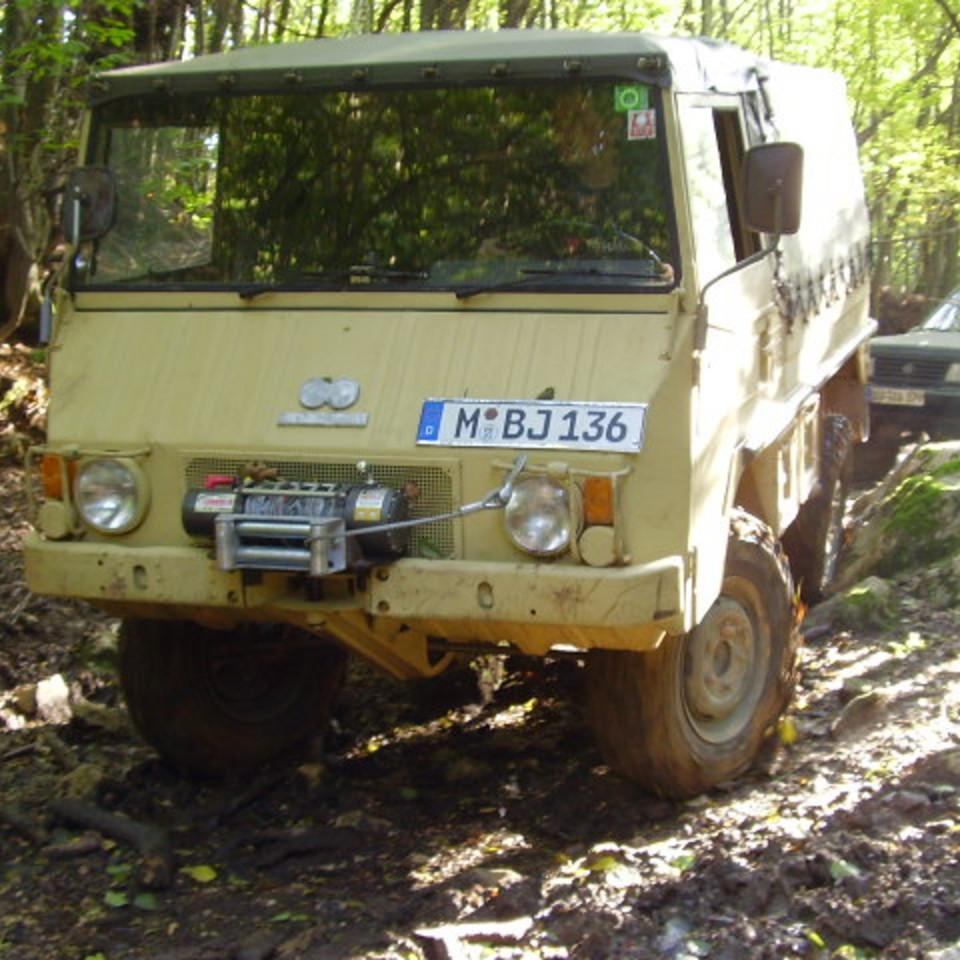 293.jpg