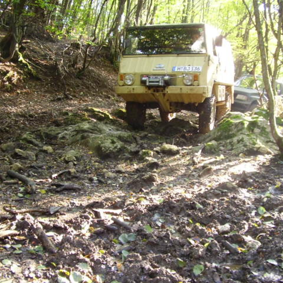 295.jpg