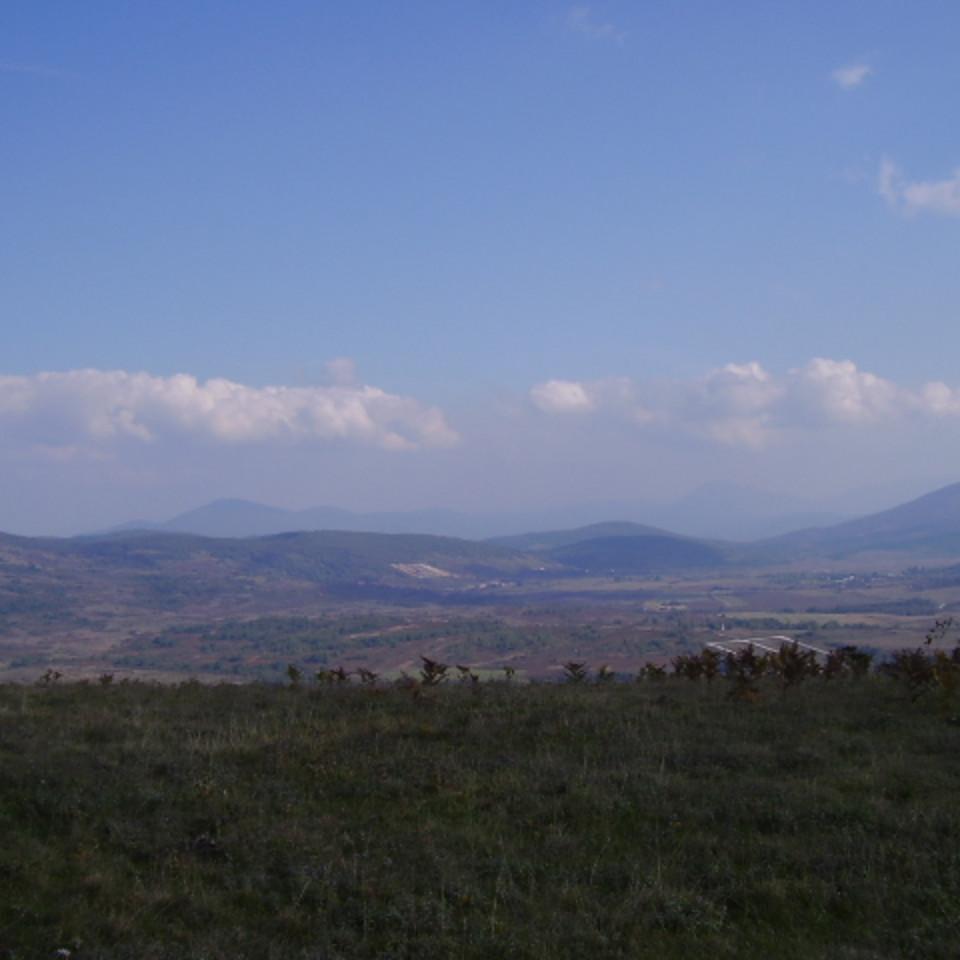 297.jpg