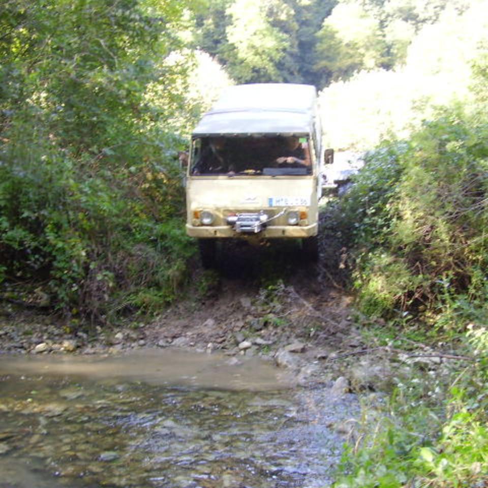 218.jpg