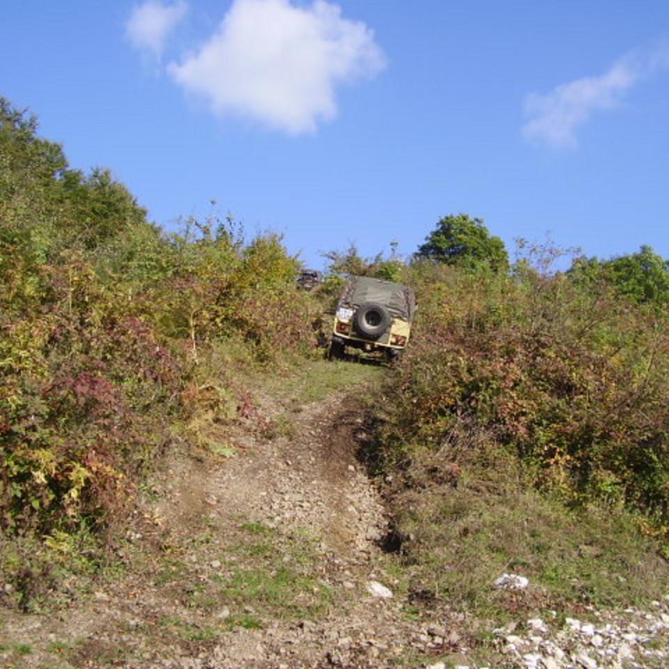 223.jpg