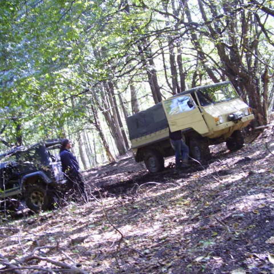 231.jpg