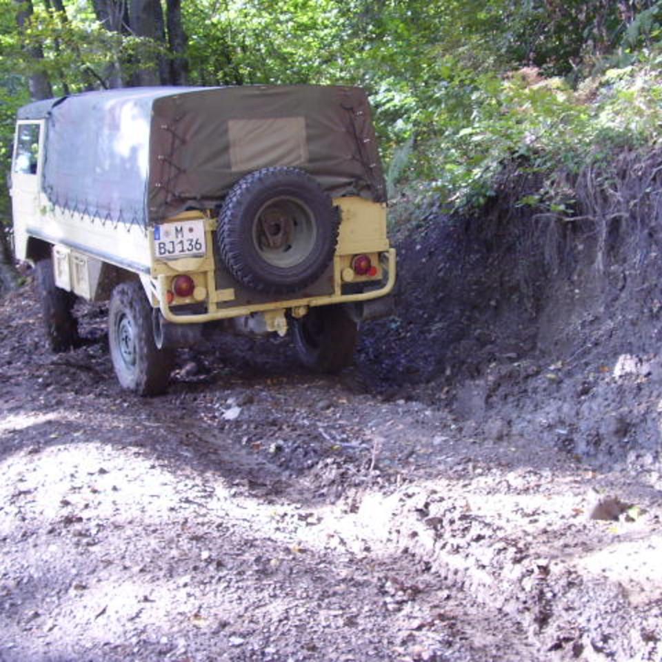 237.jpg