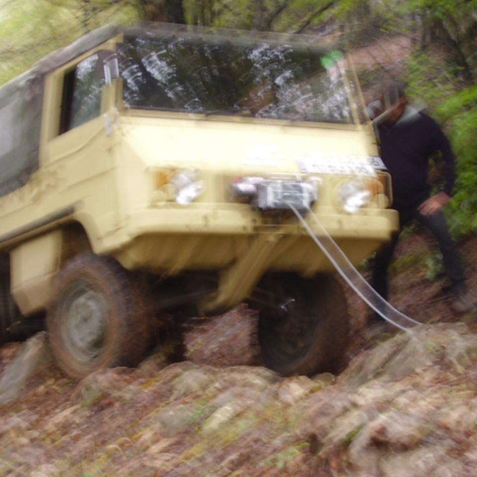 342.jpg