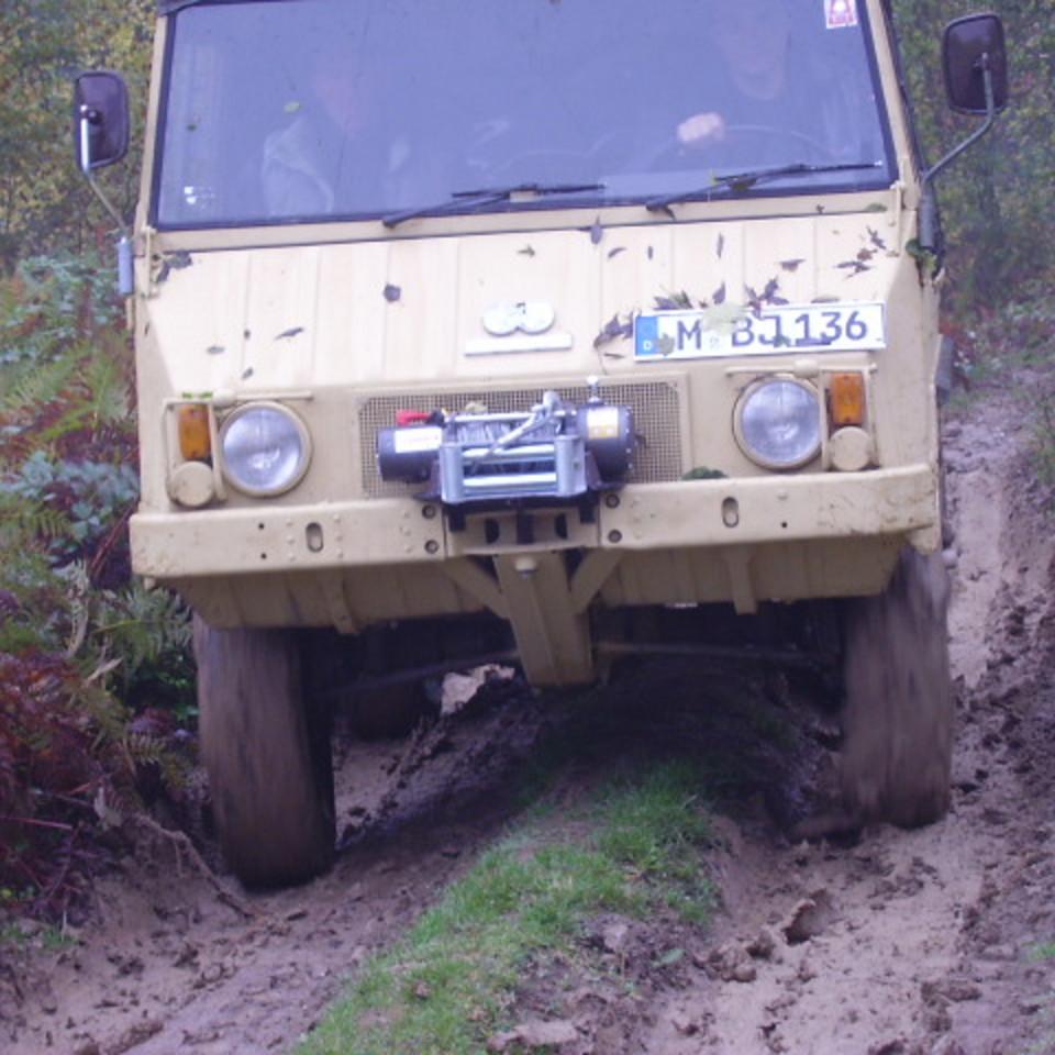 347.jpg