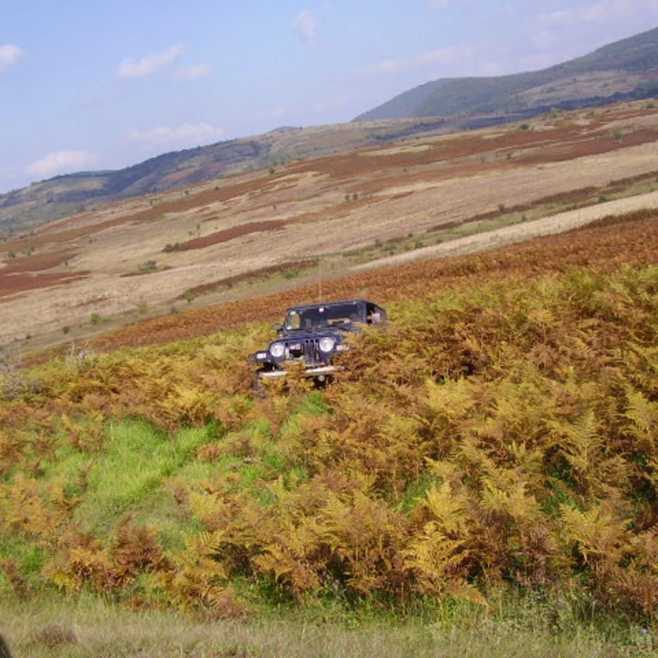 306.jpg