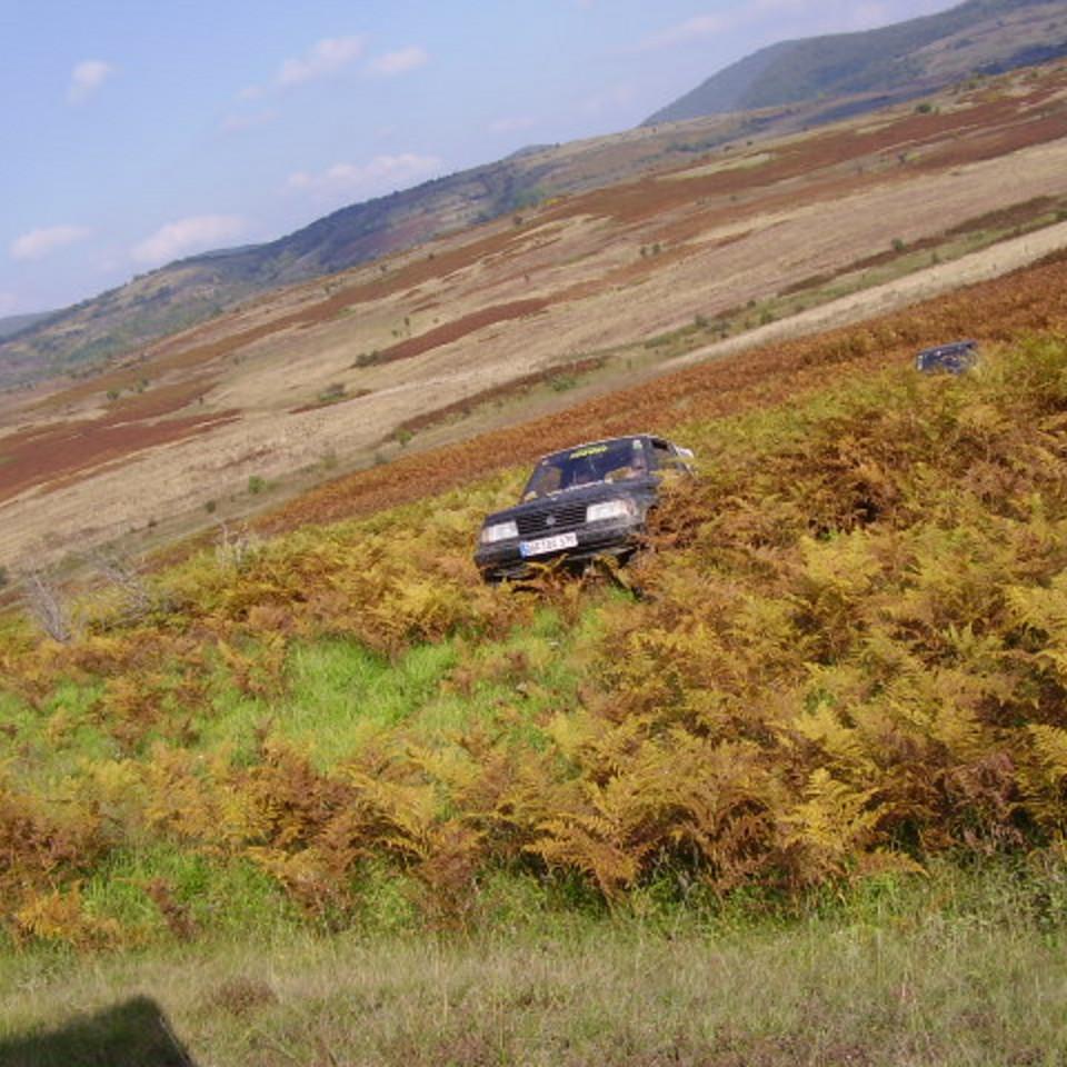 308.jpg