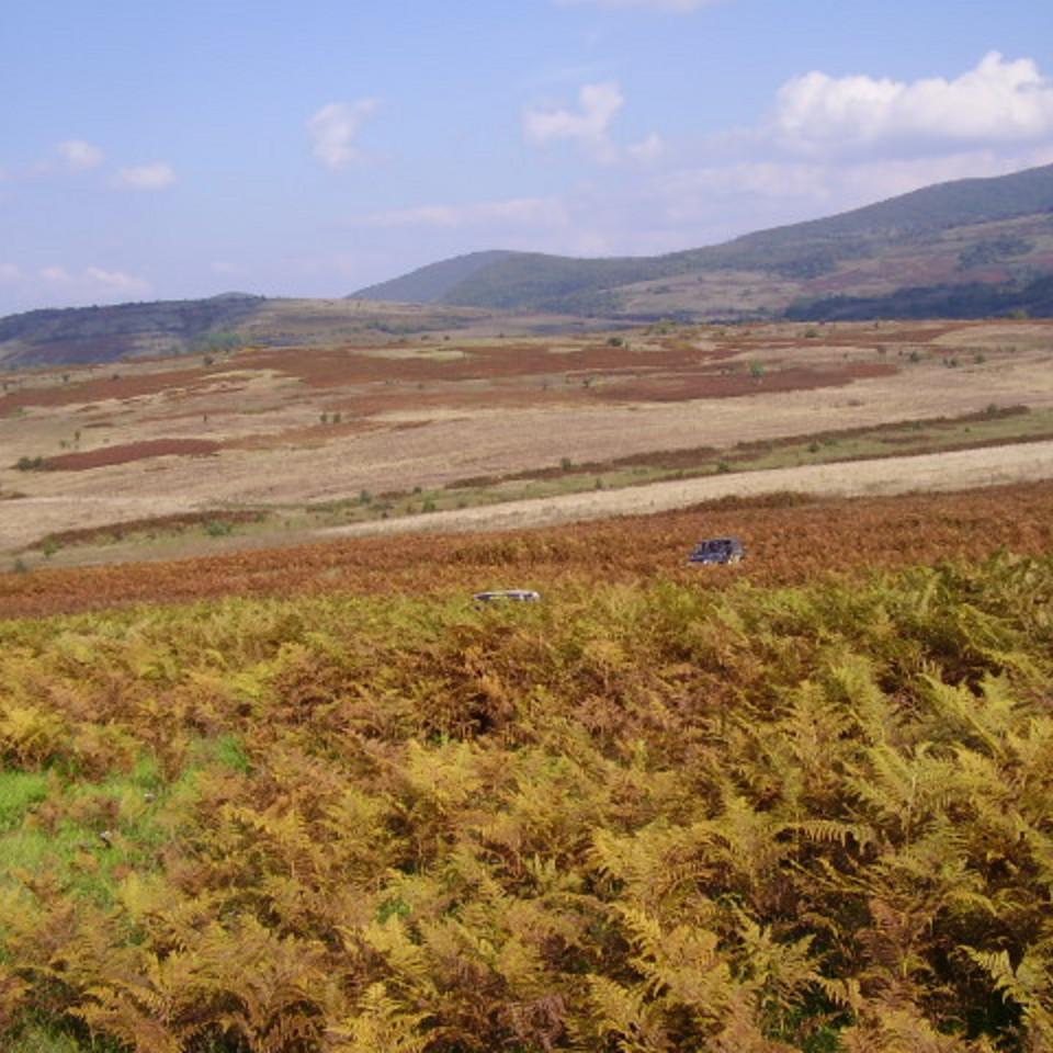 309.jpg