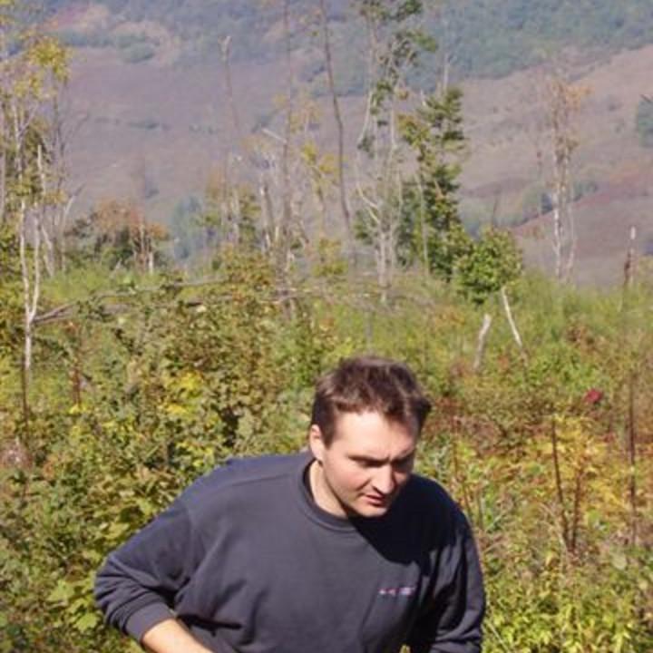 319.jpg