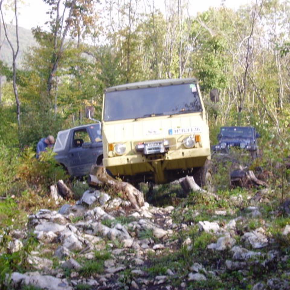 321.jpg