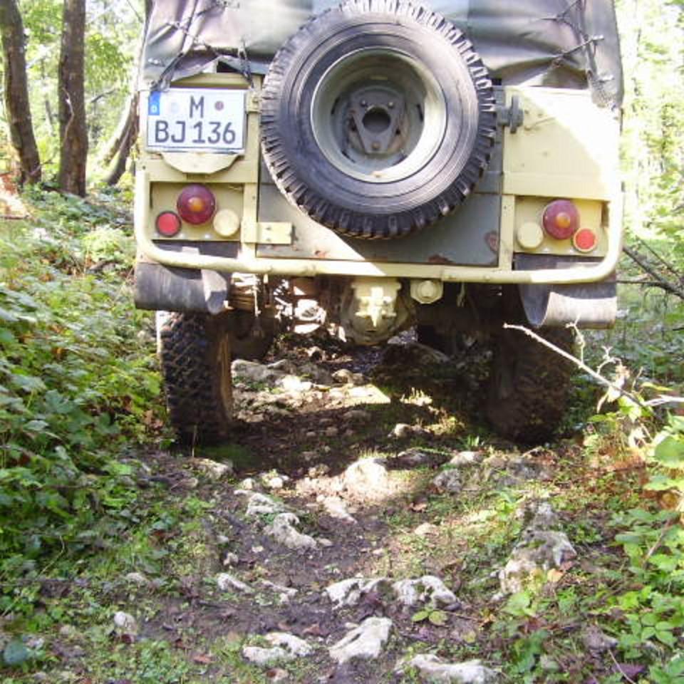 334.jpg