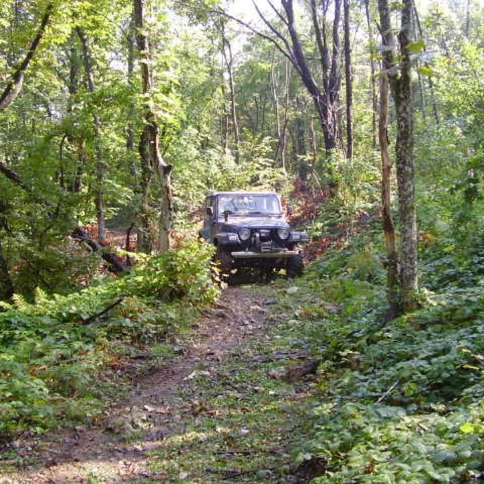 335.jpg