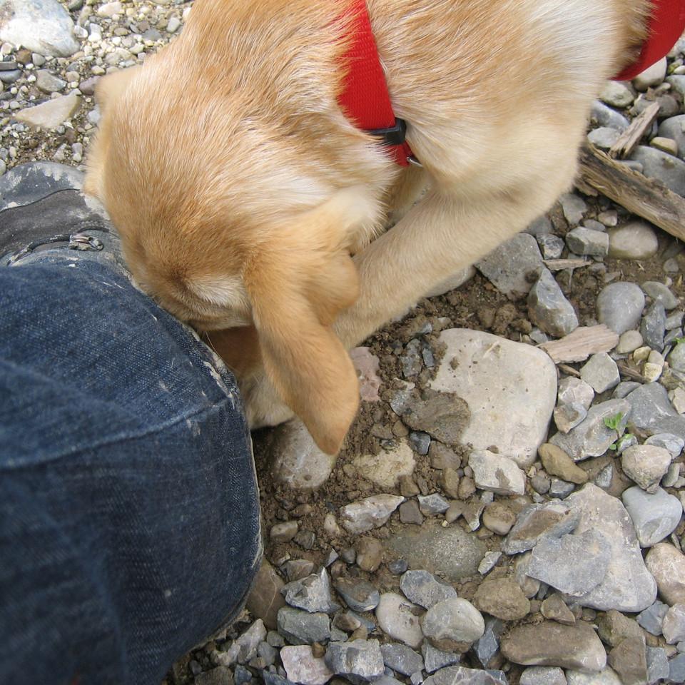 213.2008_20080920_061.JPG