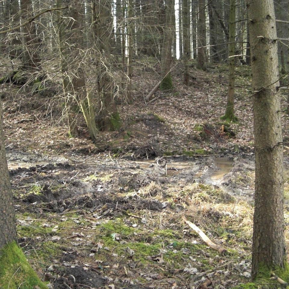 156.jpg