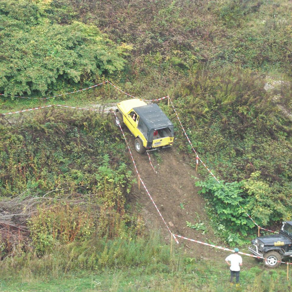 239.JPG