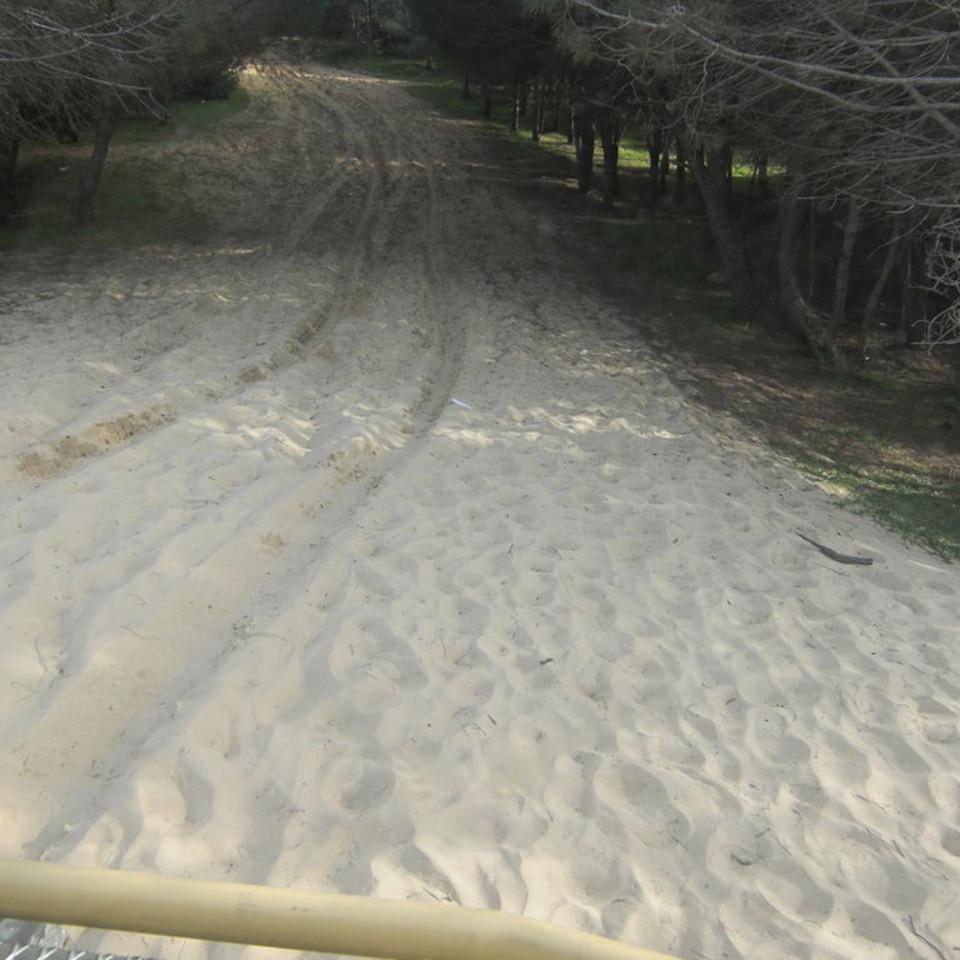 105.JPG