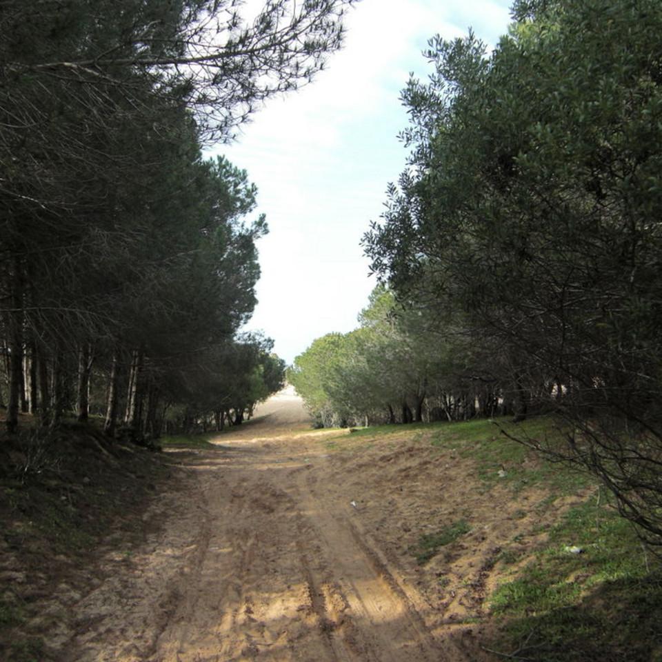 120.JPG