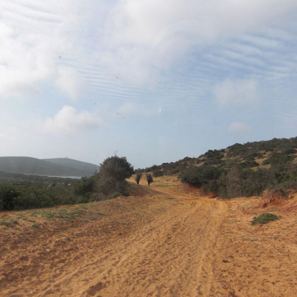 121.JPG