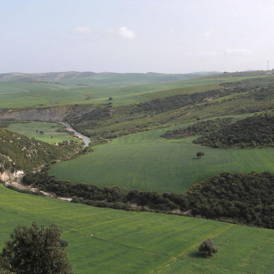135.JPG