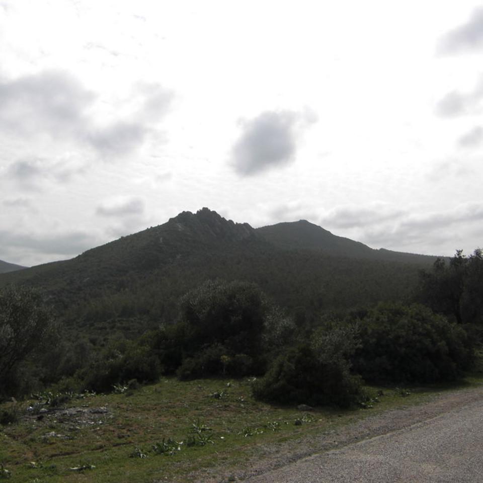 132.JPG