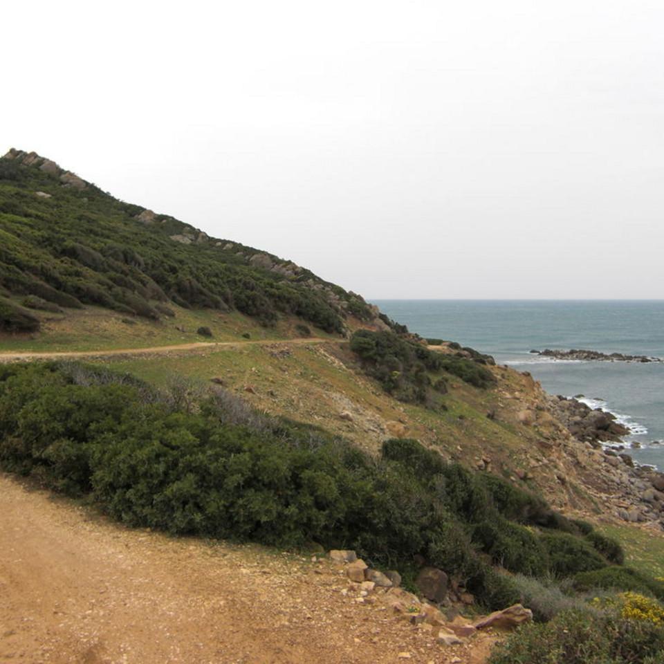 126.JPG