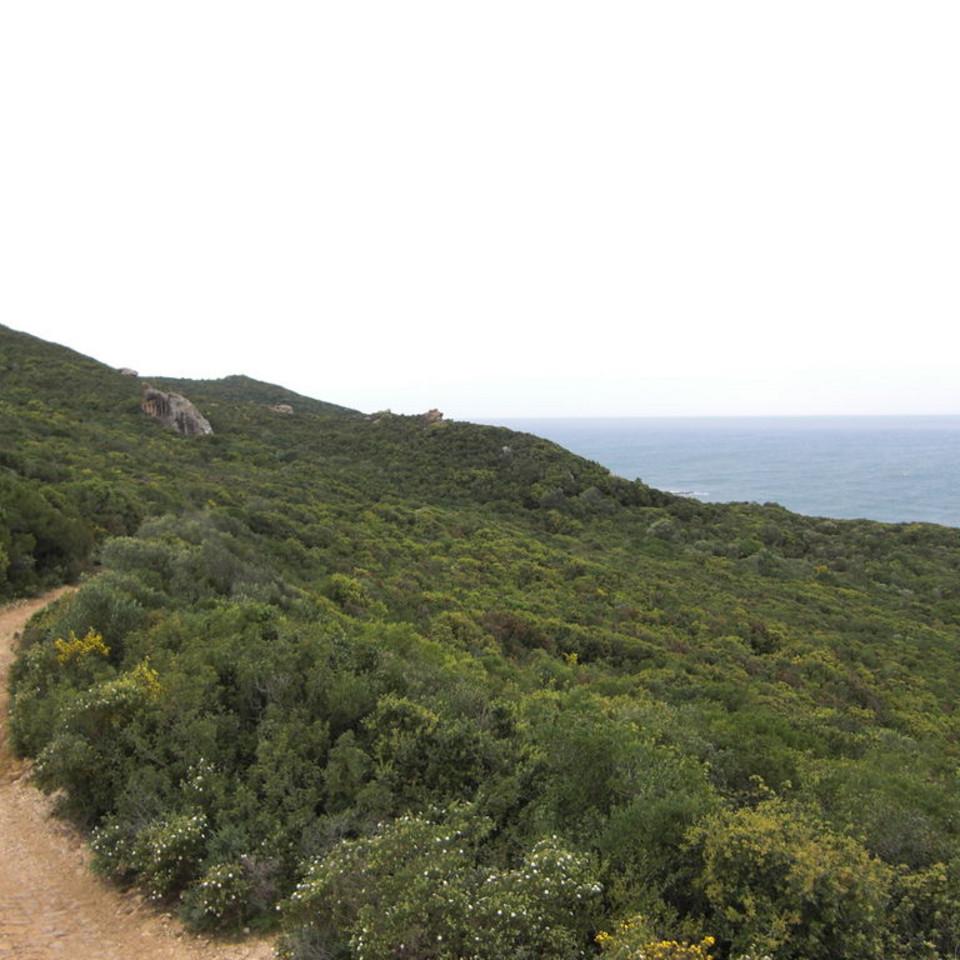 129.JPG