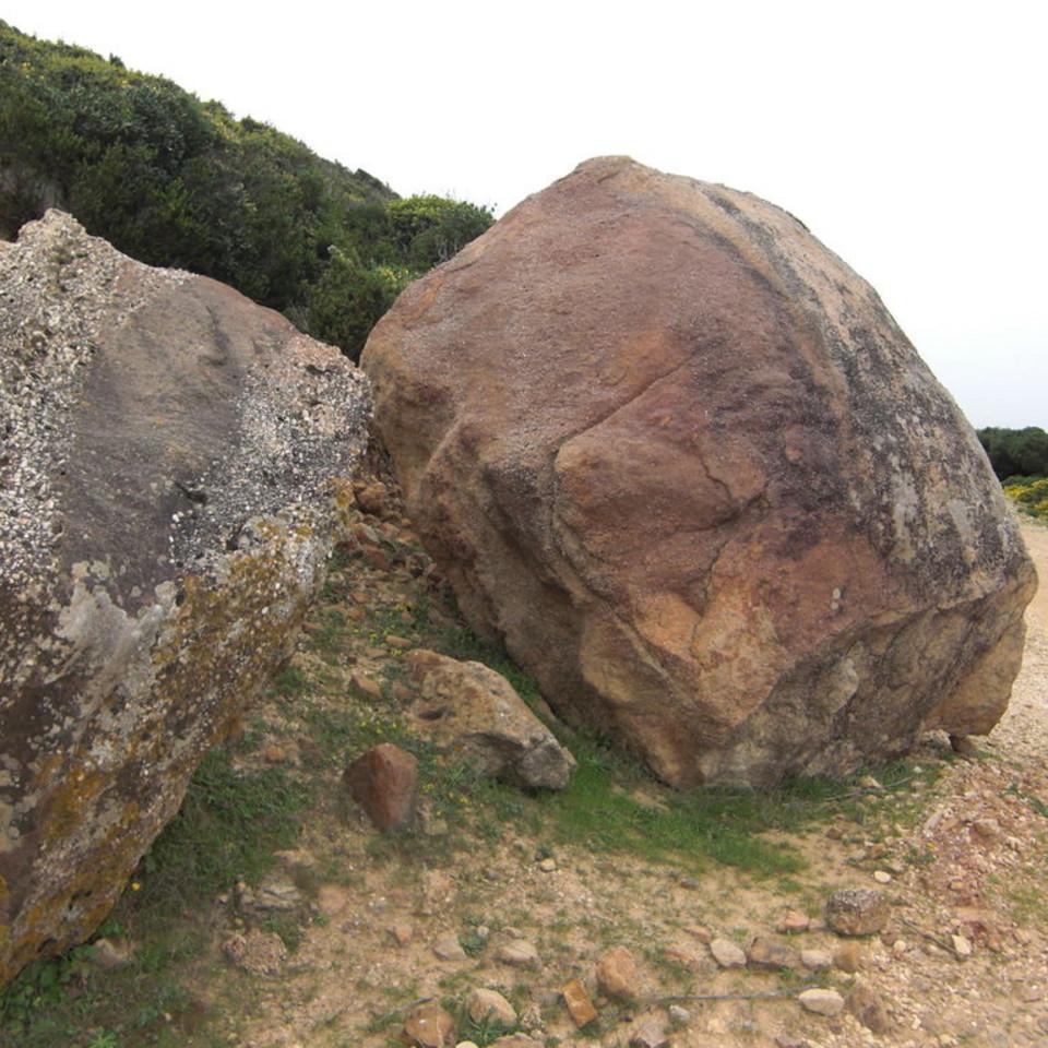 123.JPG