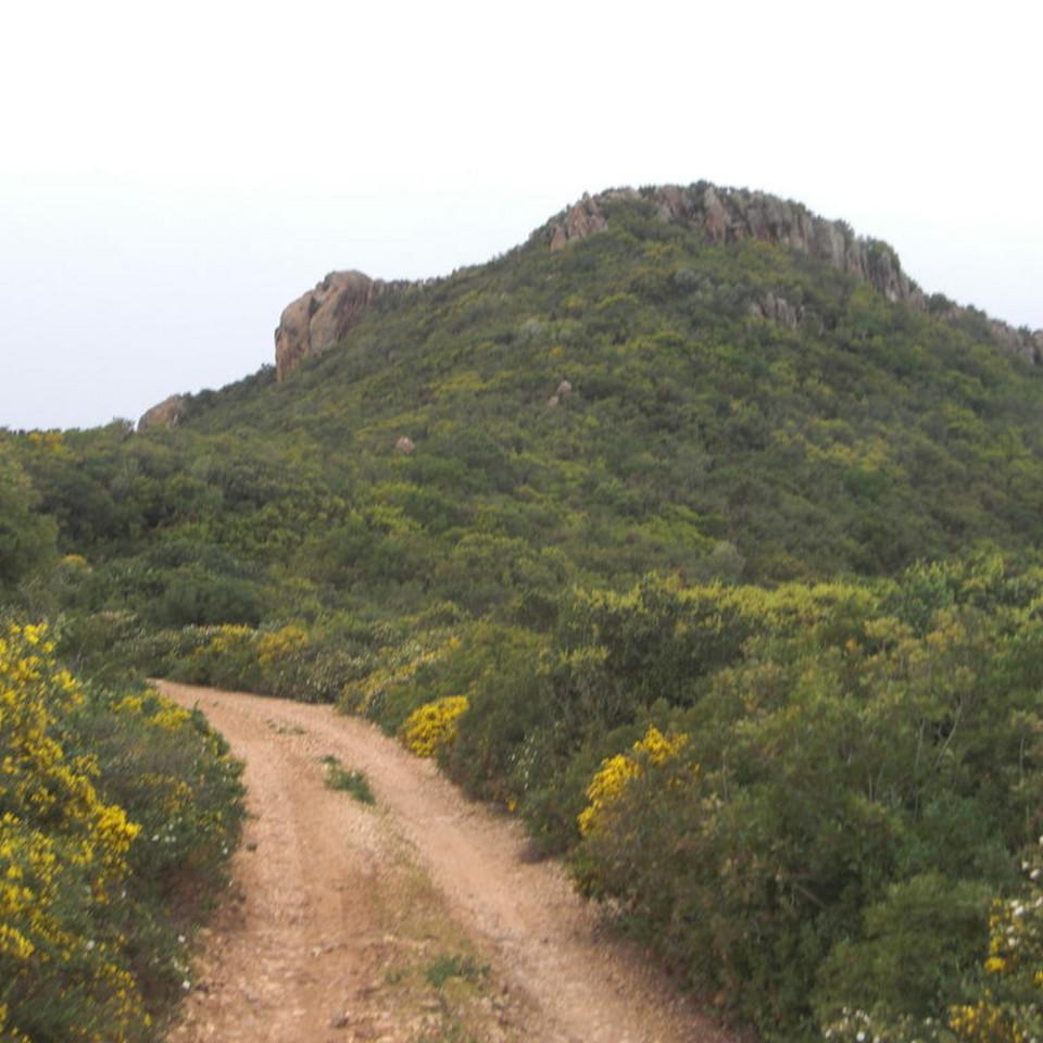 136.JPG
