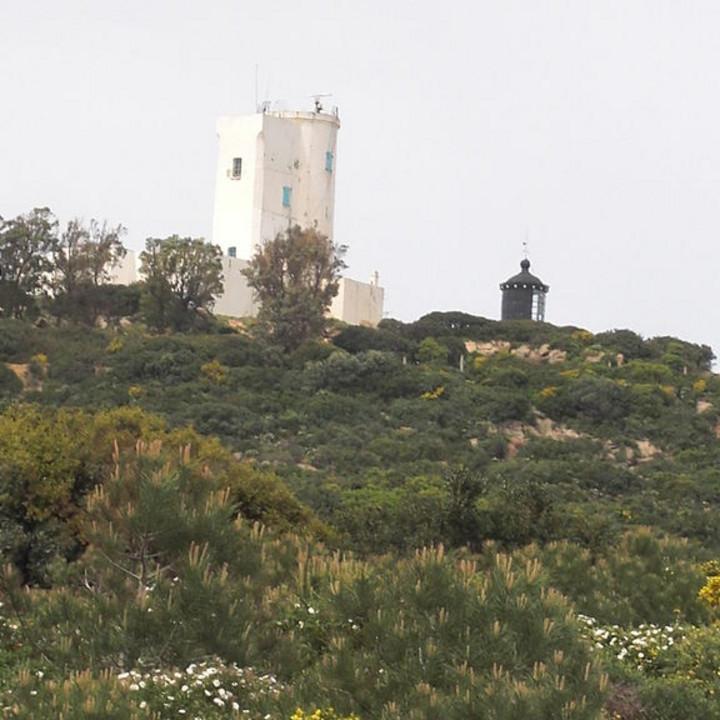 143.JPG
