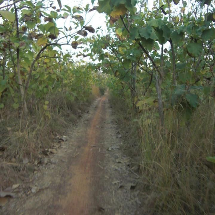 109.JPG