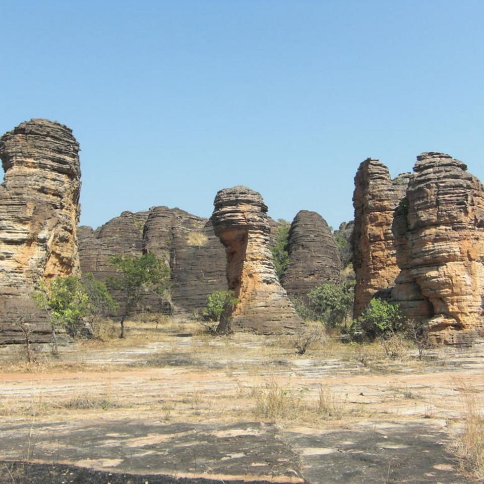 117.JPG