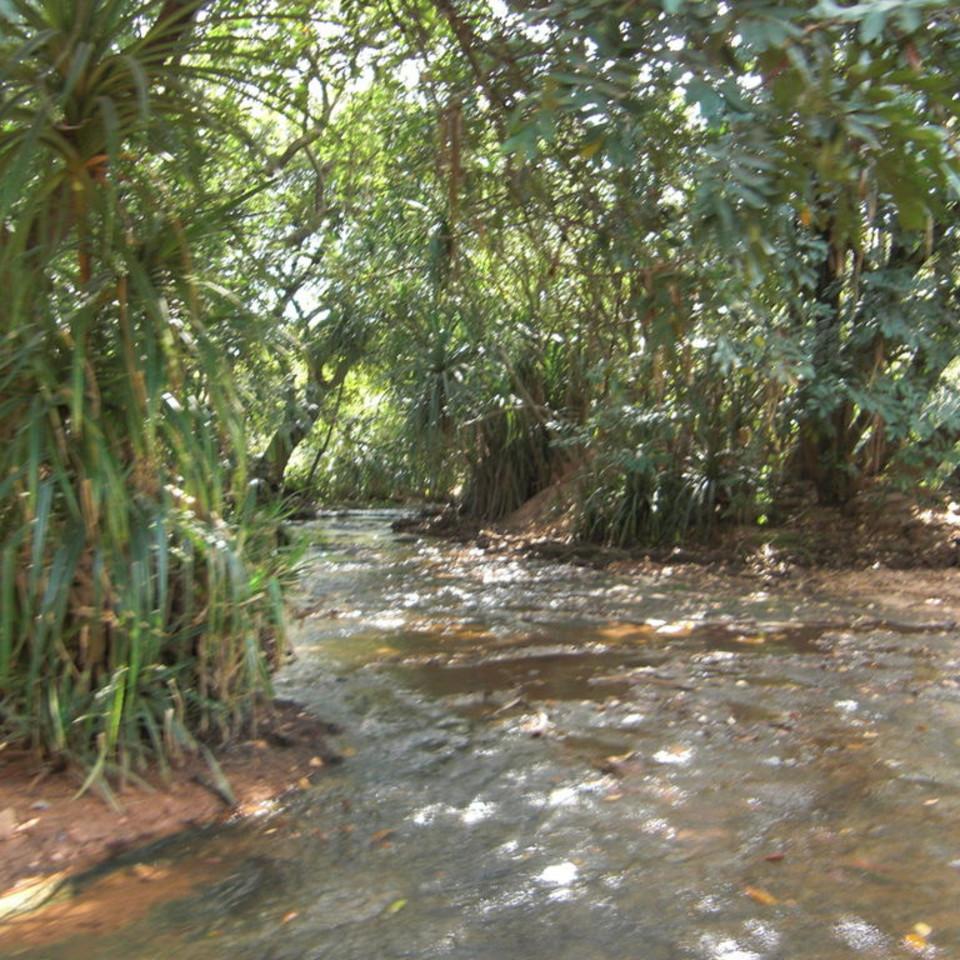 148.JPG