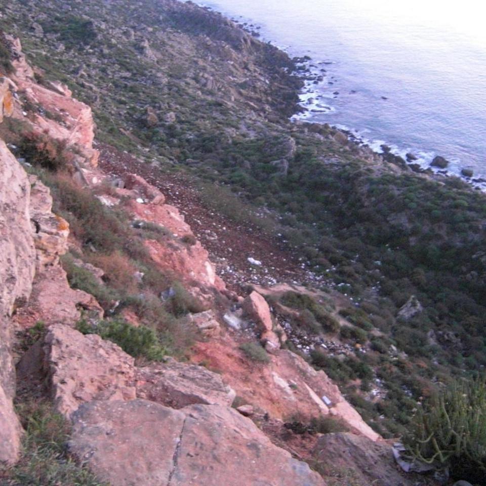 114.JPG
