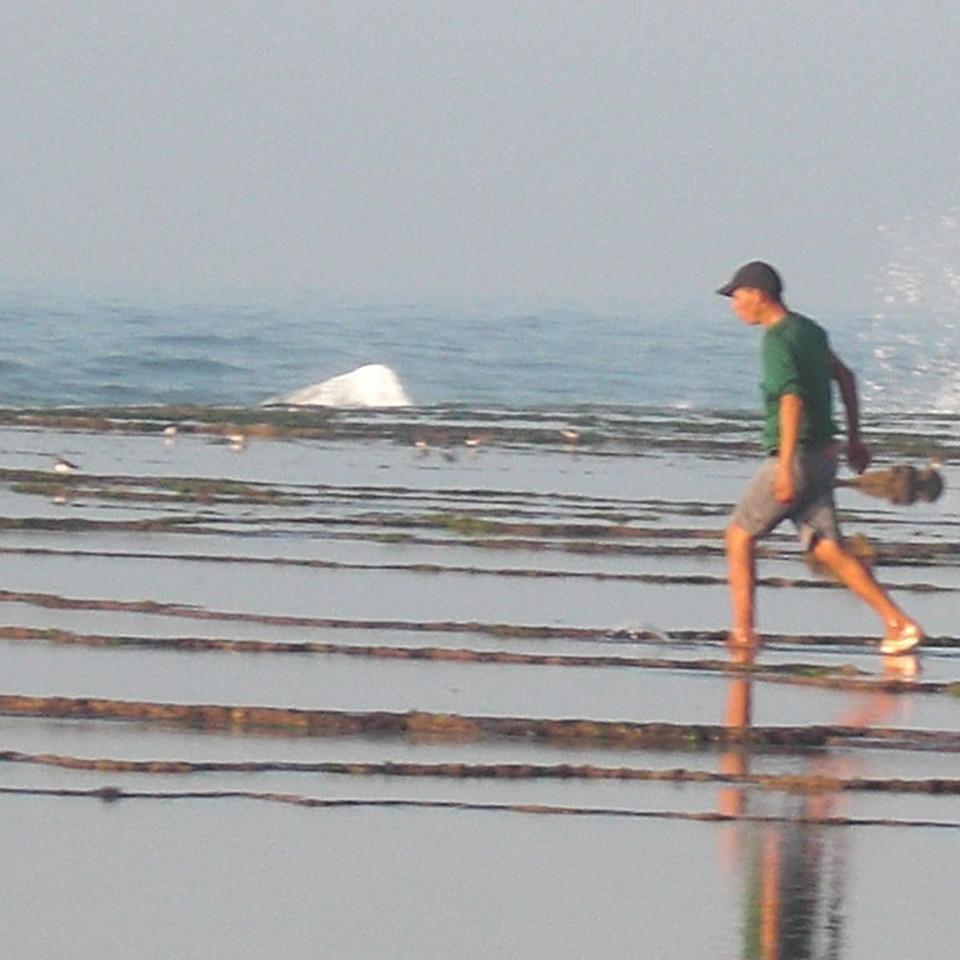 119.JPG