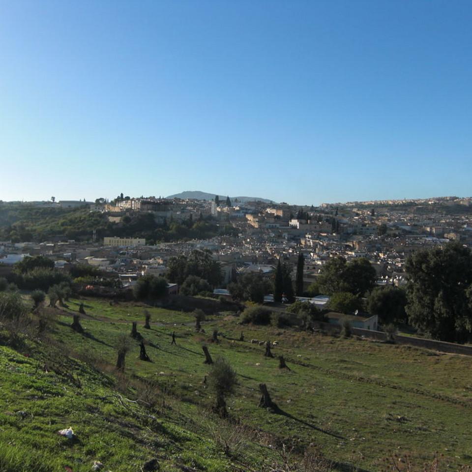 133.JPG