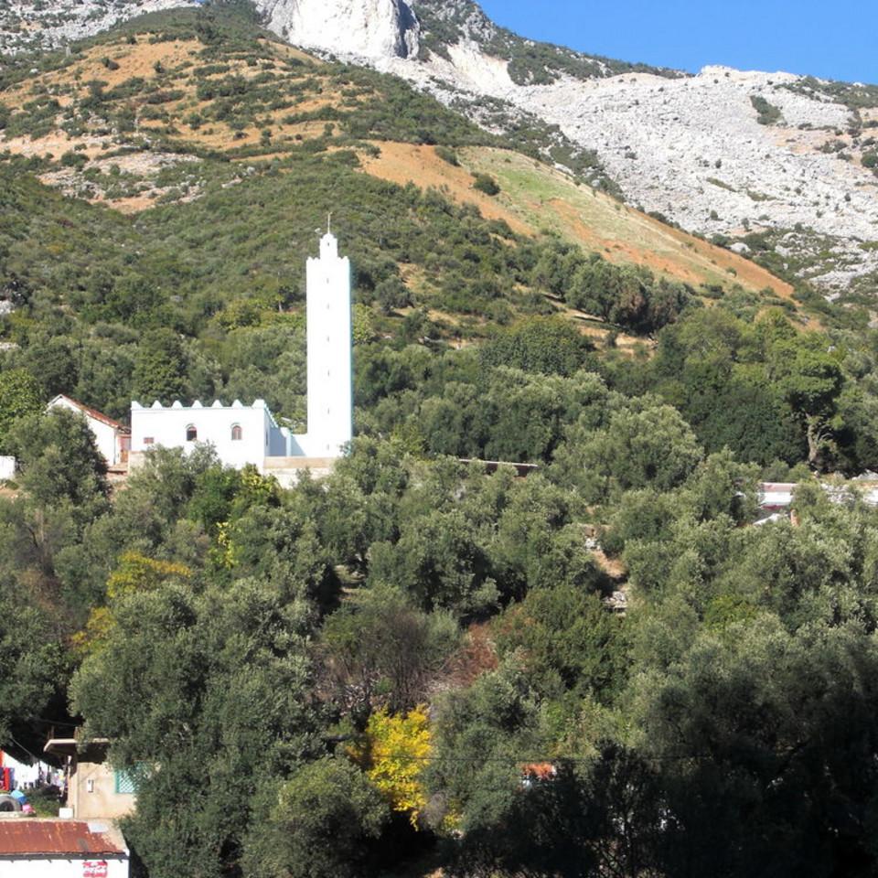 143.JPG