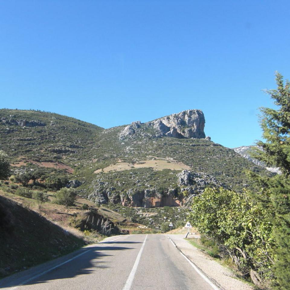 145.JPG